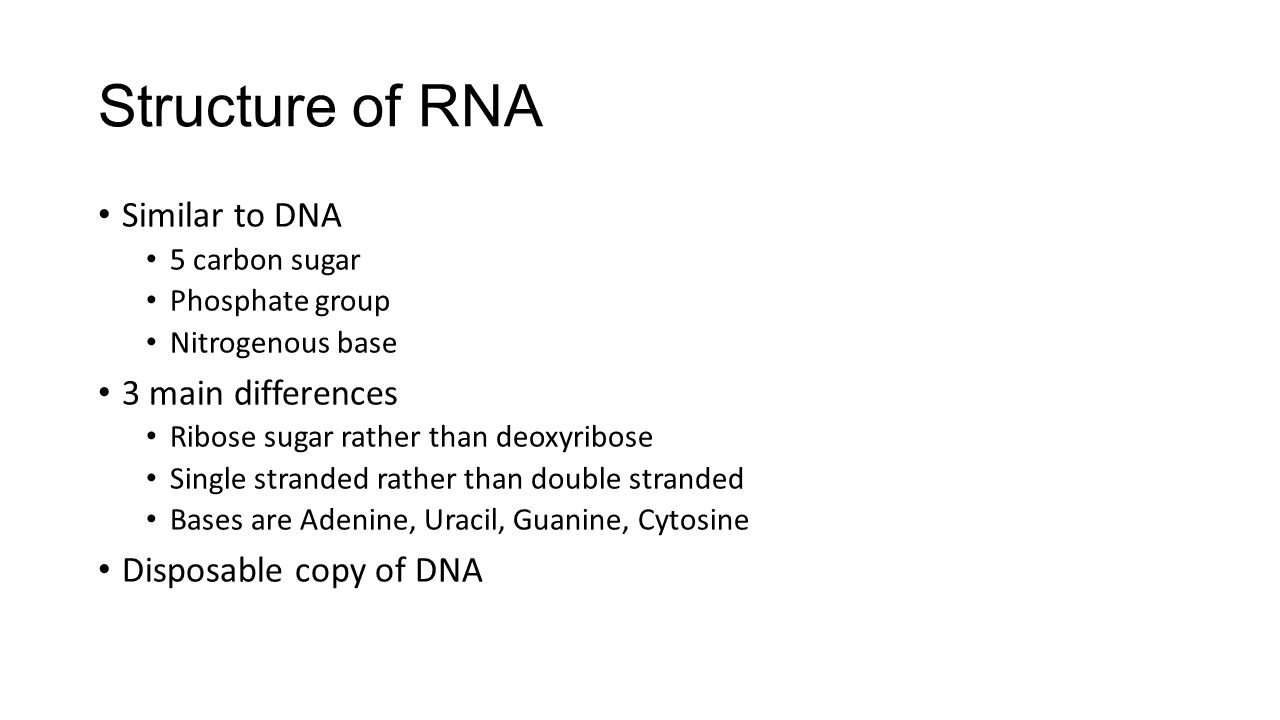 Structure of RNA Similar to DNA 3 main differences