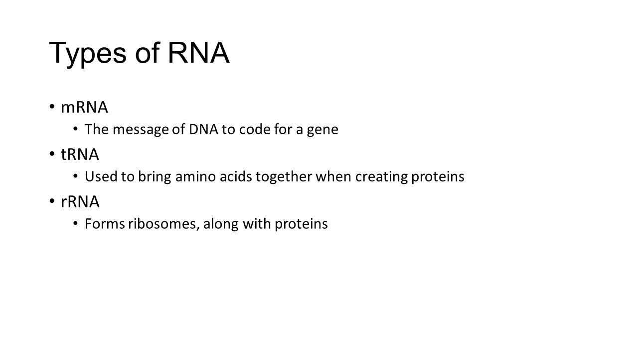 Types of RNA mRNA tRNA rRNA The message of DNA to code for a gene