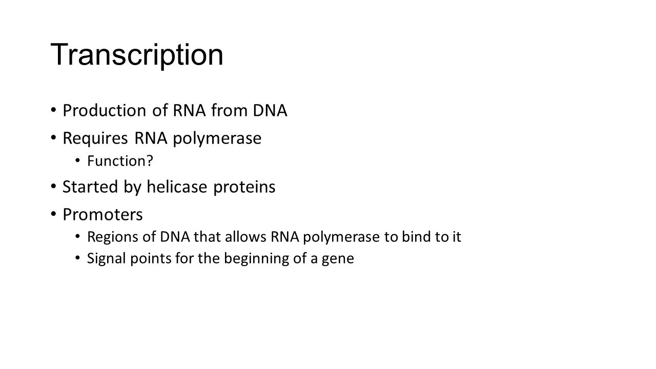 Transcription Production of RNA from DNA Requires RNA polymerase