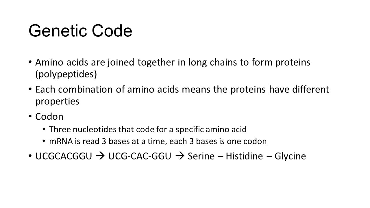Genetic Code Amino acids are joined together in long chains to form proteins (polypeptides)