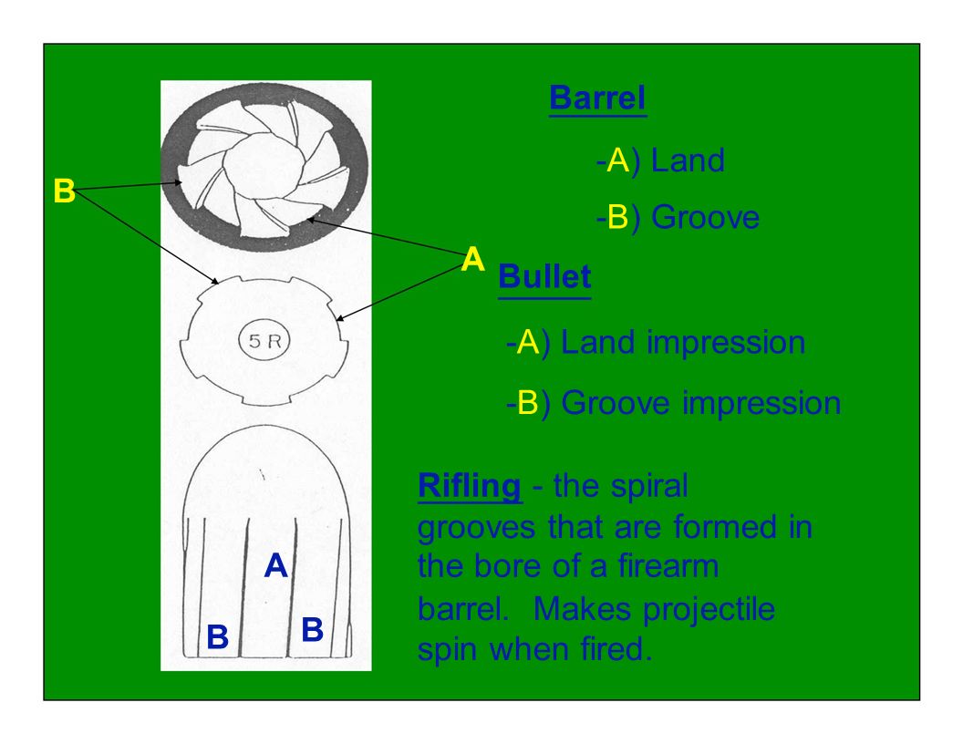 Barrel -A) Land. B. -B) Groove Bullet. A. -A) Land impression. -B) Groove impression. Rifling - the spiral.