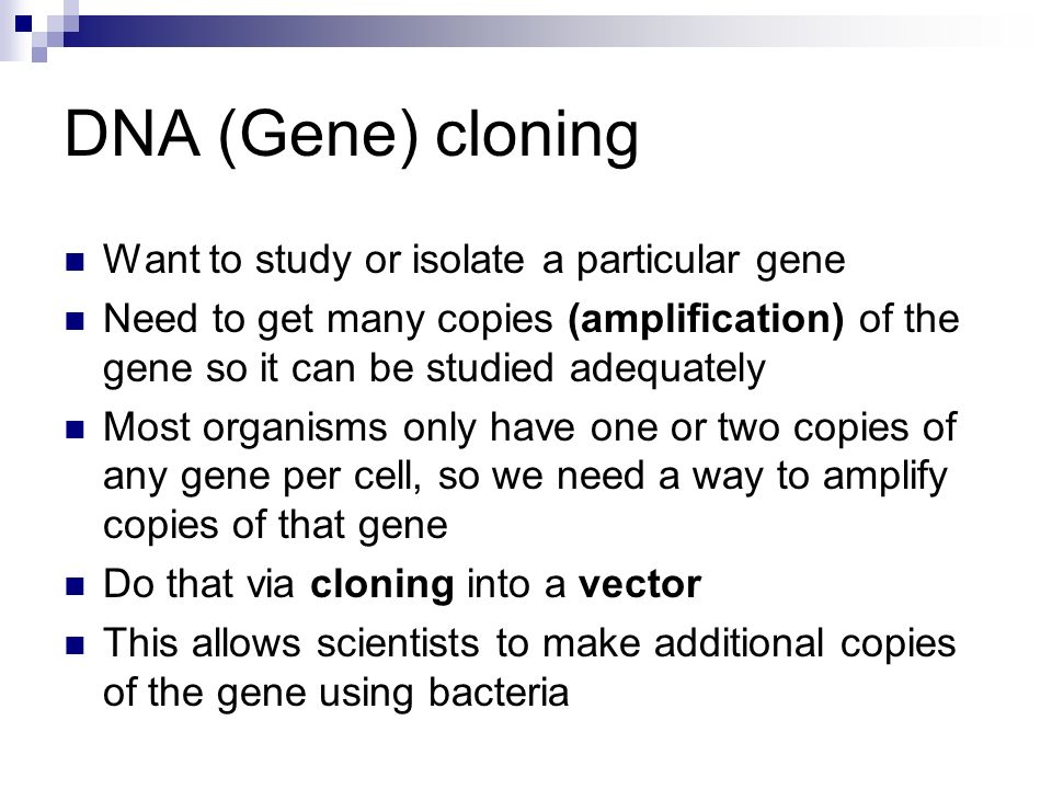 DNA (Gene) cloning Want to study or isolate a particular gene