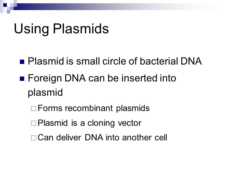 Using Plasmids Plasmid is small circle of bacterial DNA