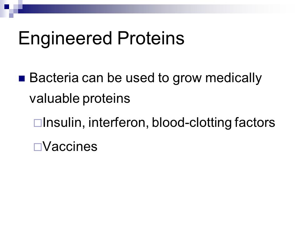 Engineered Proteins Bacteria can be used to grow medically valuable proteins. Insulin, interferon, blood-clotting factors.