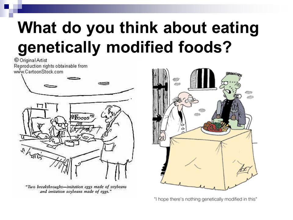 What do you think about eating genetically modified foods