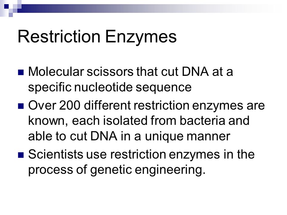 Restriction Enzymes Molecular scissors that cut DNA at a specific nucleotide sequence.