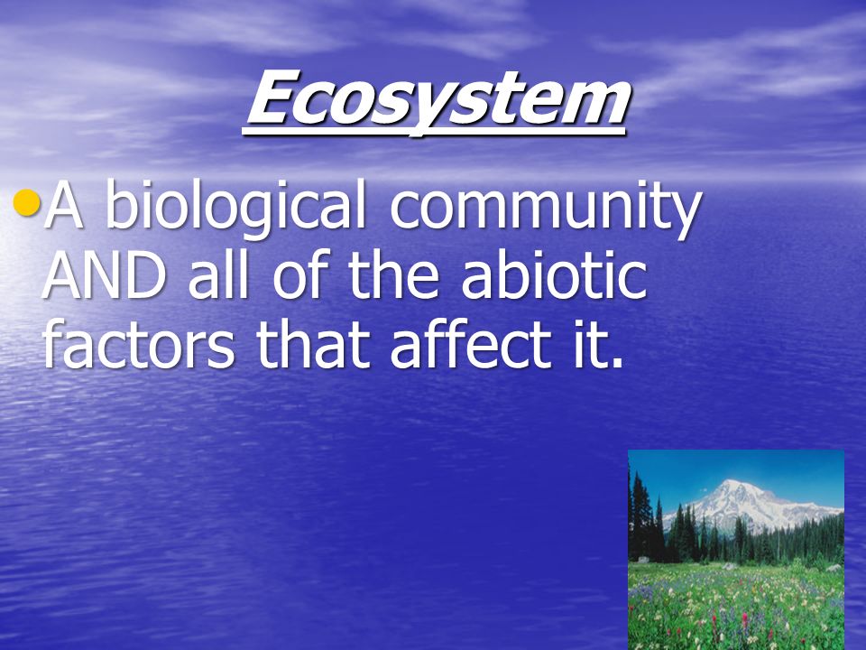 Ecosystem A biological community AND all of the abiotic factors that affect it.