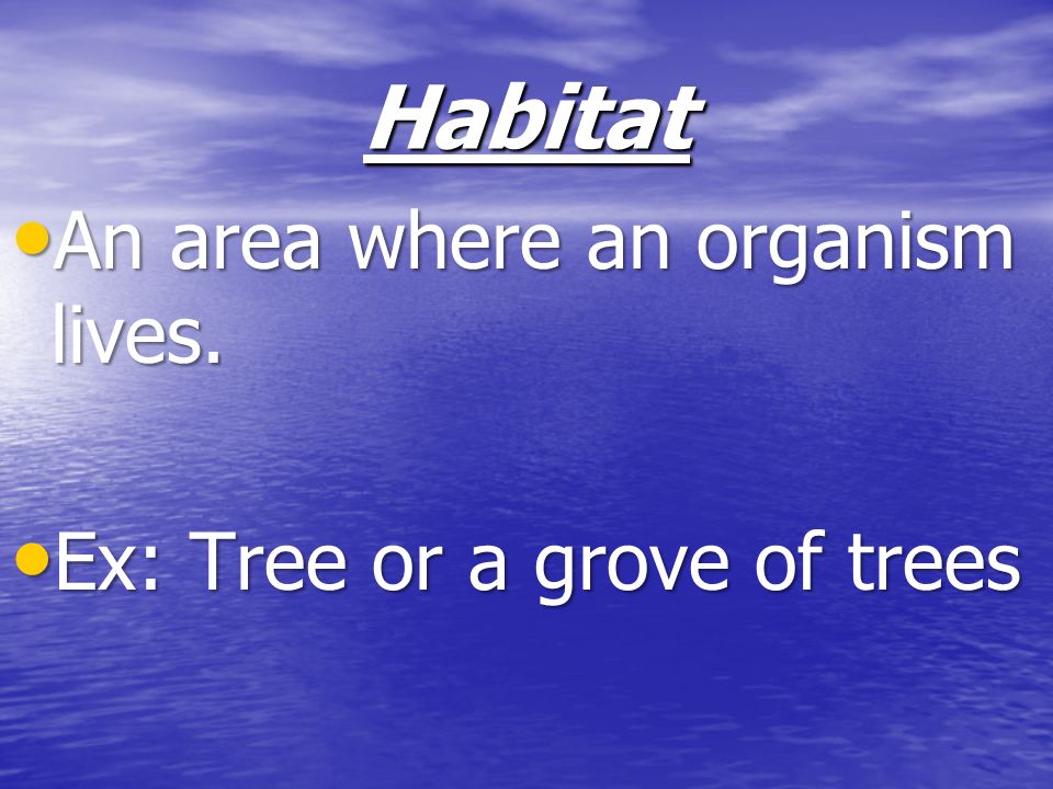 Habitat An area where an organism lives. Ex: Tree or a grove of trees
