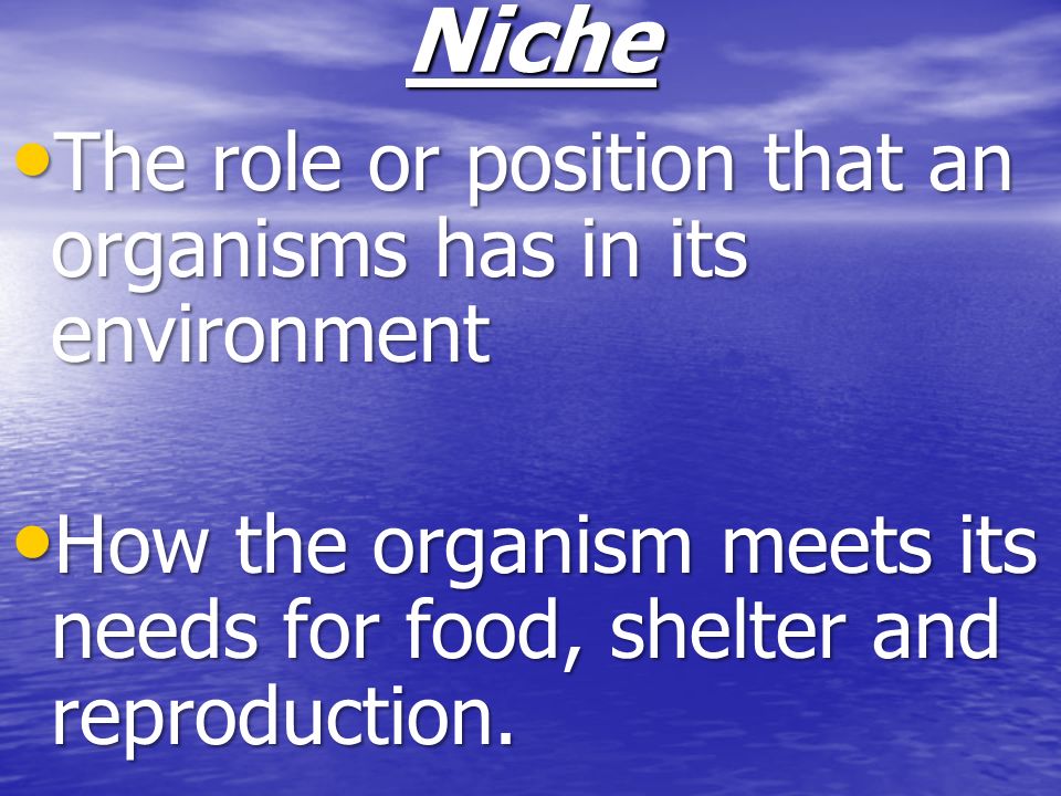 Niche The role or position that an organisms has in its environment