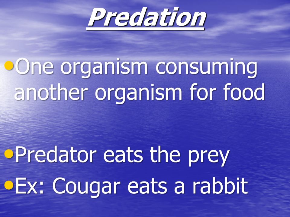 Predation One organism consuming another organism for food