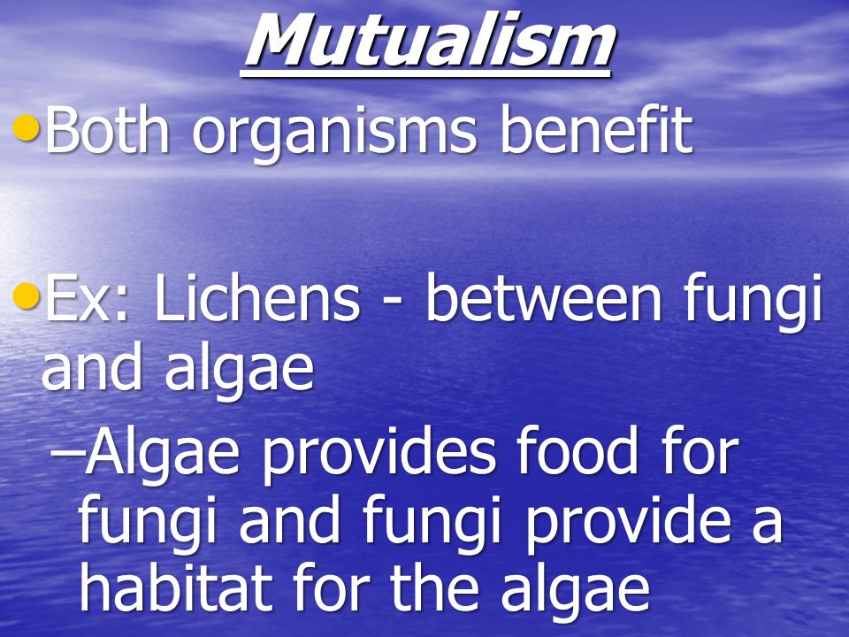 Mutualism Both organisms benefit Ex: Lichens - between fungi and algae