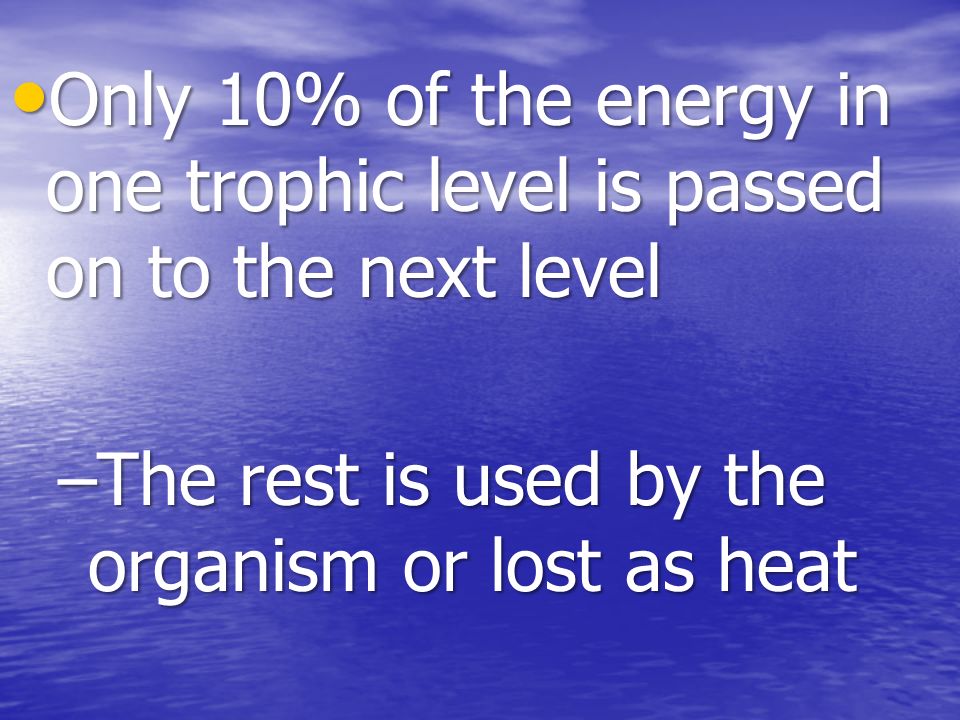 Only 10% of the energy in one trophic level is passed on to the next level