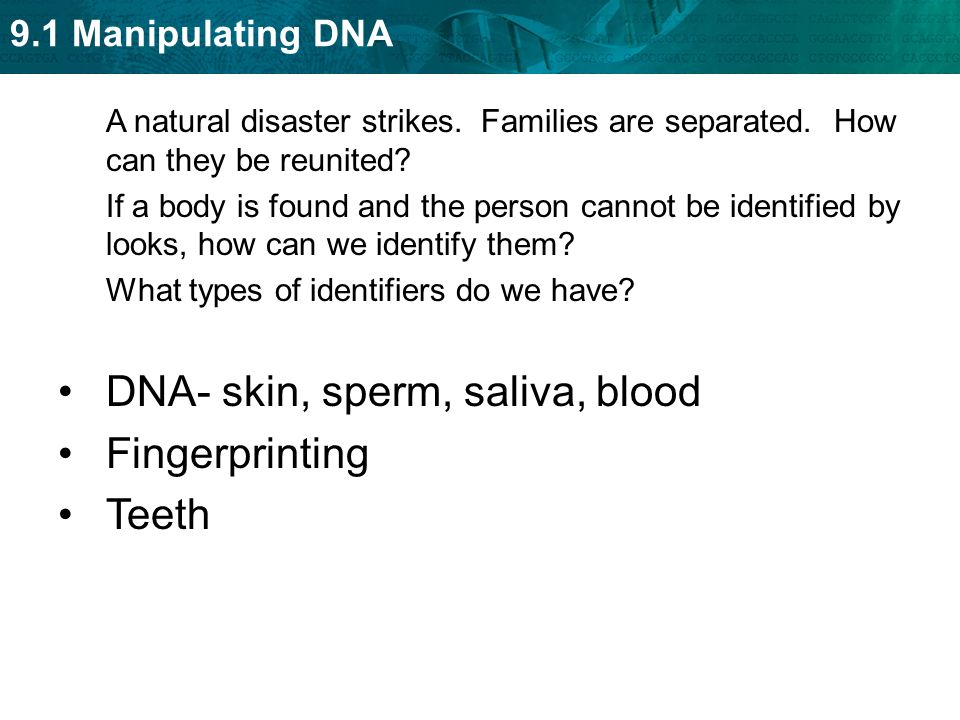 DNA- skin, sperm, saliva, blood Fingerprinting Teeth