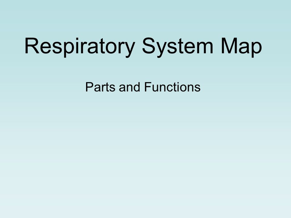 Respiratory System Map