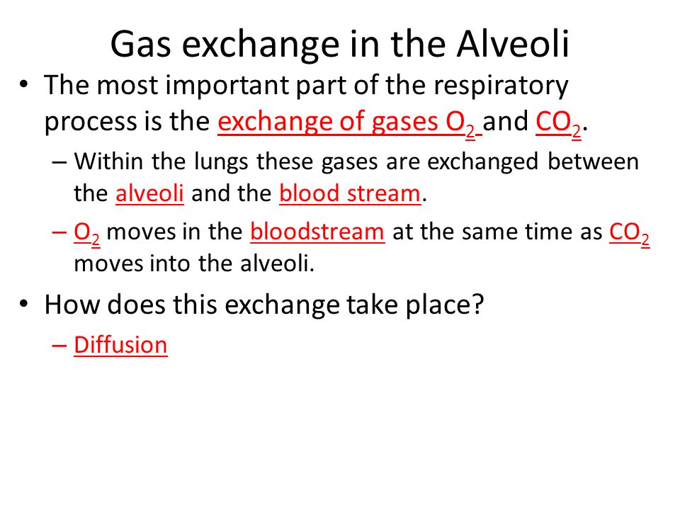 Gas exchange in the Alveoli