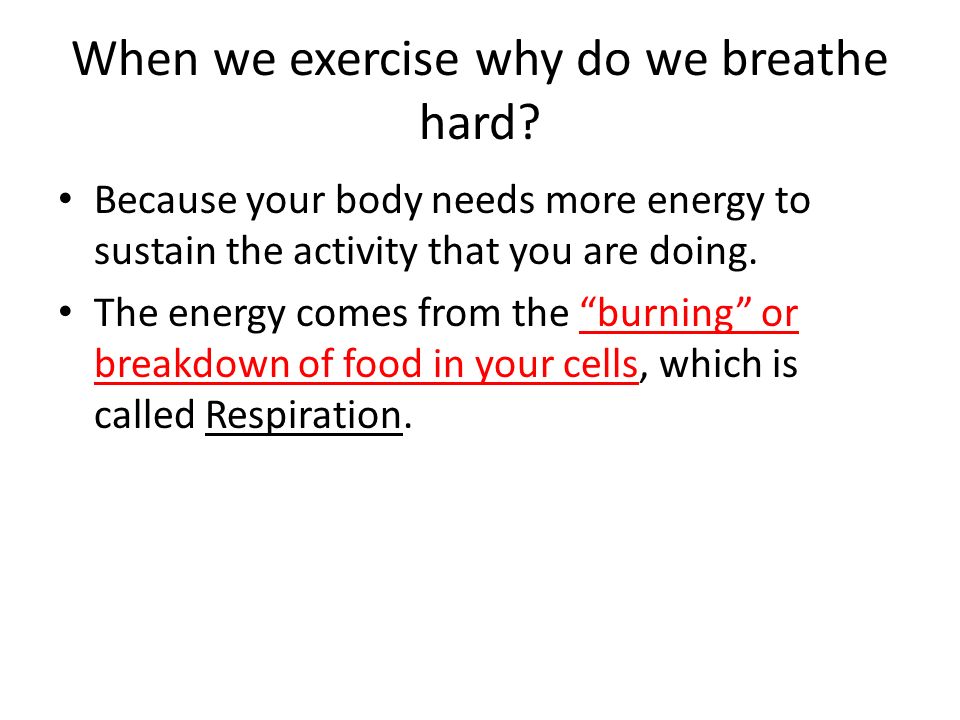 When we exercise why do we breathe hard