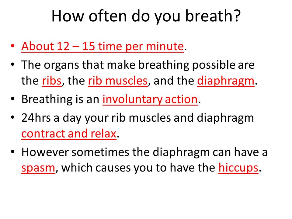 How often do you breath About 12 – 15 time per minute.