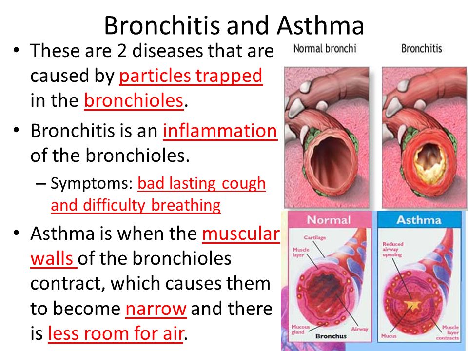Bronchitis and Asthma These are 2 diseases that are caused by particles trapped in the bronchioles.