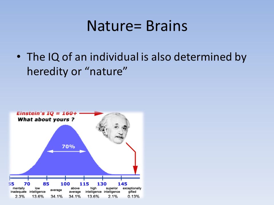 Nature= Brains The IQ of an individual is also determined by heredity or nature