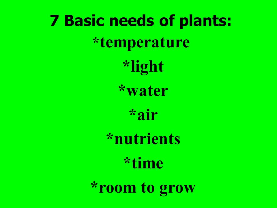 *light *water *air *nutrients *time *room to grow