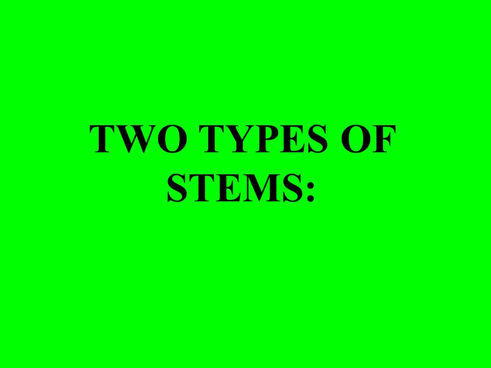 TWO TYPES OF STEMS: