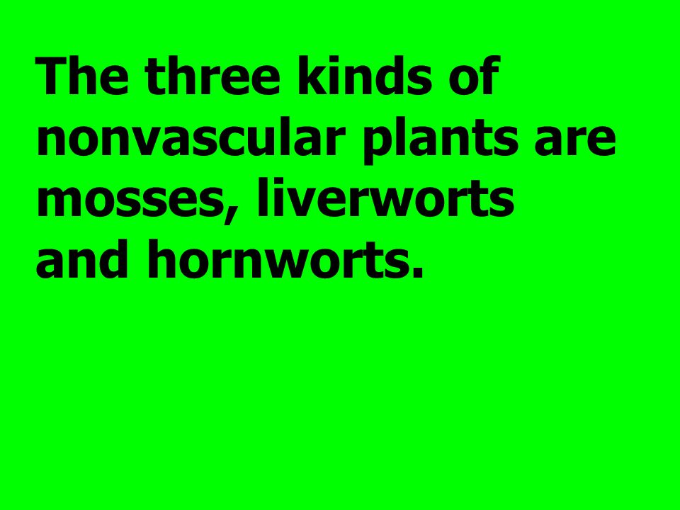 The three kinds of nonvascular plants are mosses, liverworts and hornworts.