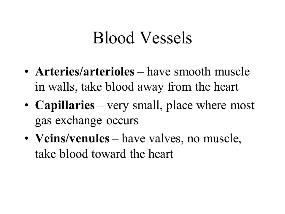 Blood Vessels Arteries/arterioles – have smooth muscle in walls, take blood away from the heart.