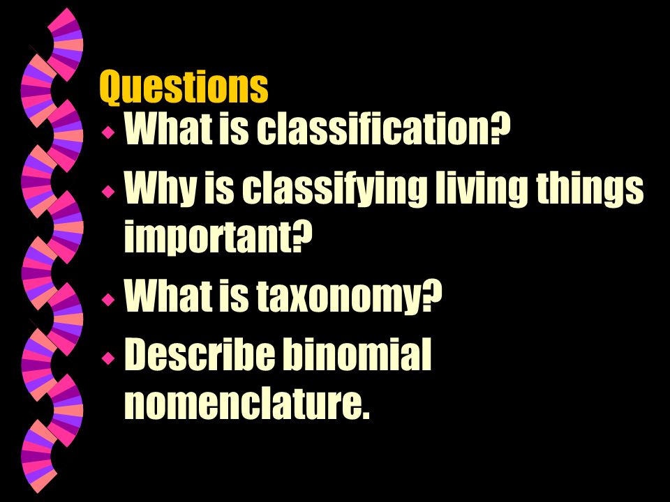 Questions What is classification. Why is classifying living things important.