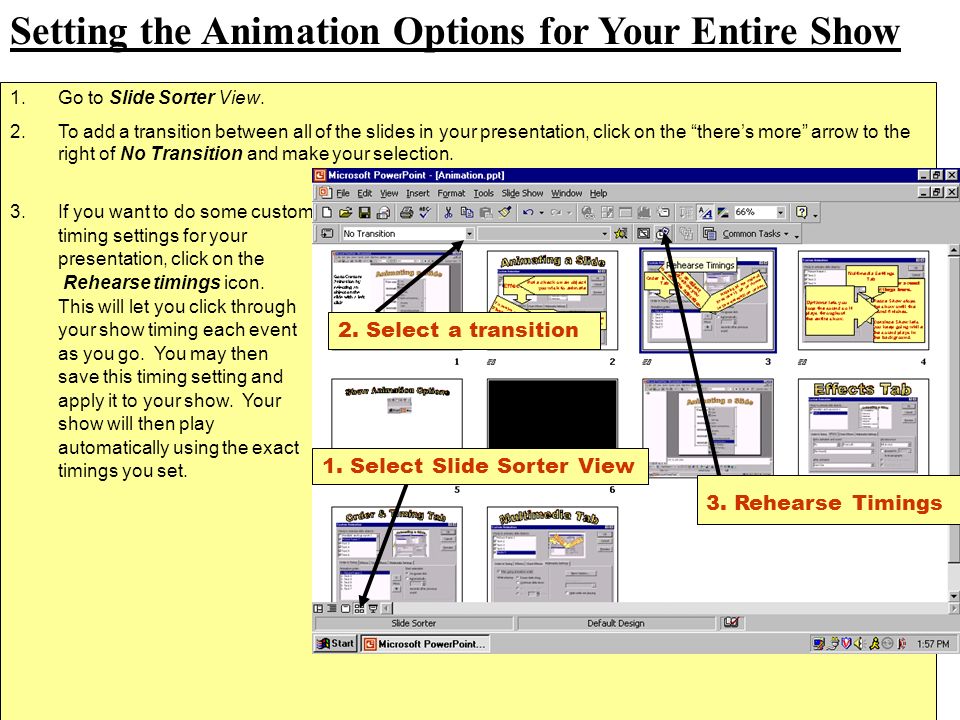 Setting the Animation Options for Your Entire Show