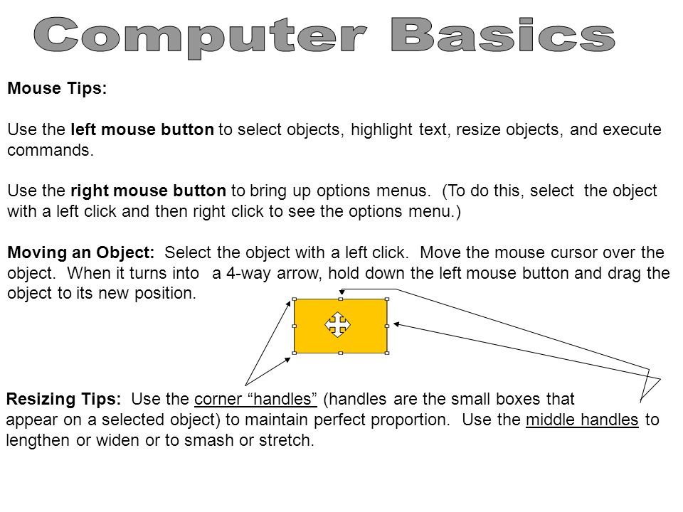 Computer Basics Mouse Tips: