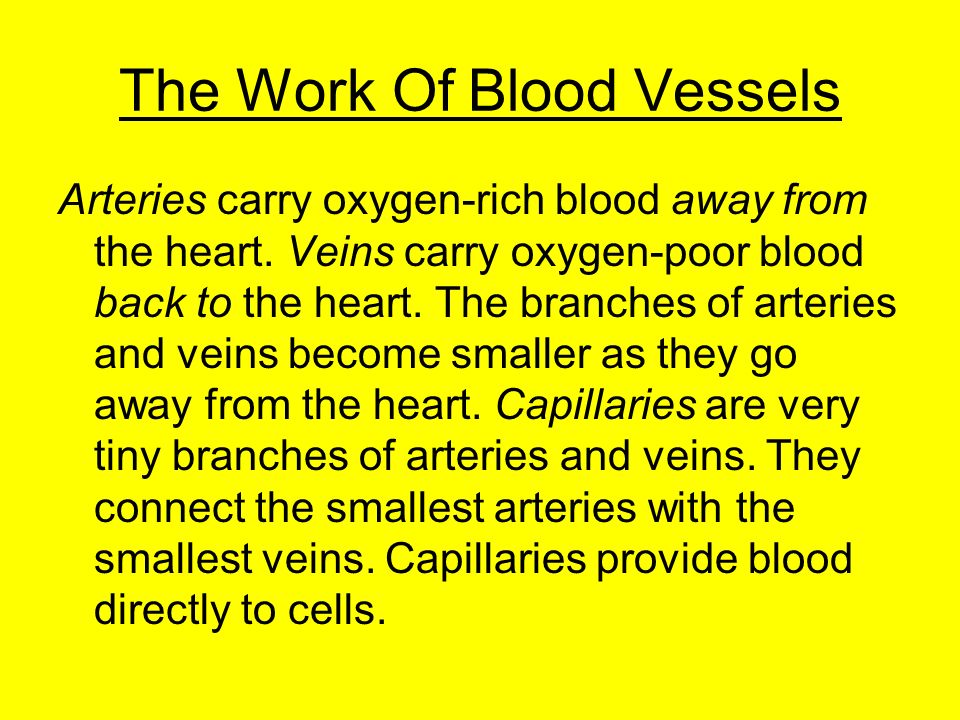 The Work Of Blood Vessels