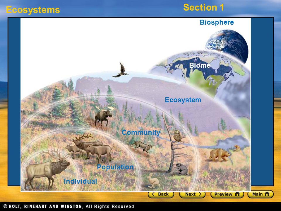Biosphere Biome Ecosystem Community Population Individual