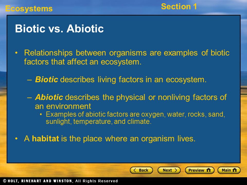 Biotic vs. Abiotic Relationships between organisms are examples of biotic factors that affect an ecosystem.