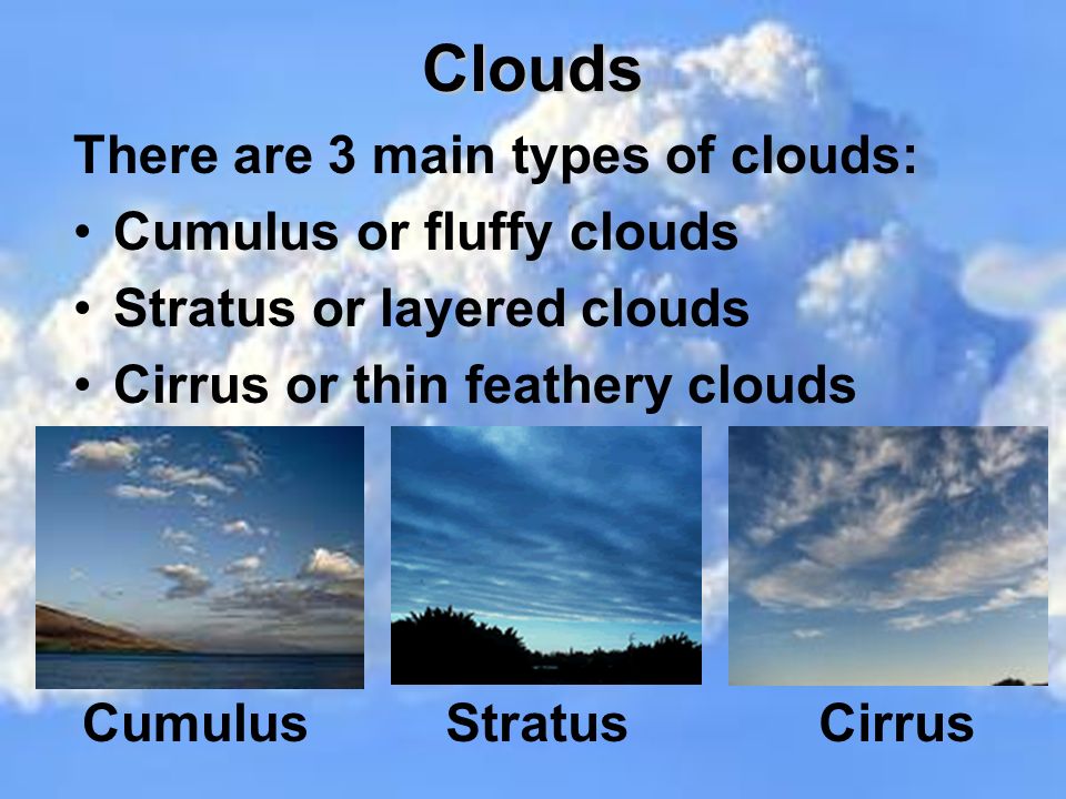 Clouds There are 3 main types of clouds: Cumulus or fluffy clouds