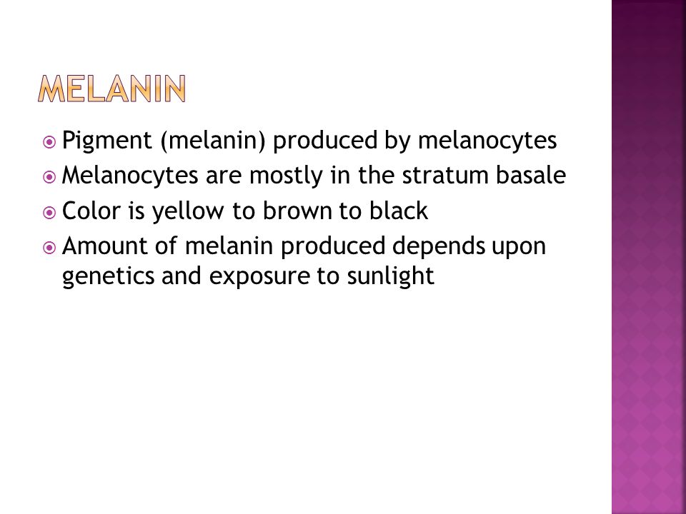 Melanin Pigment (melanin) produced by melanocytes