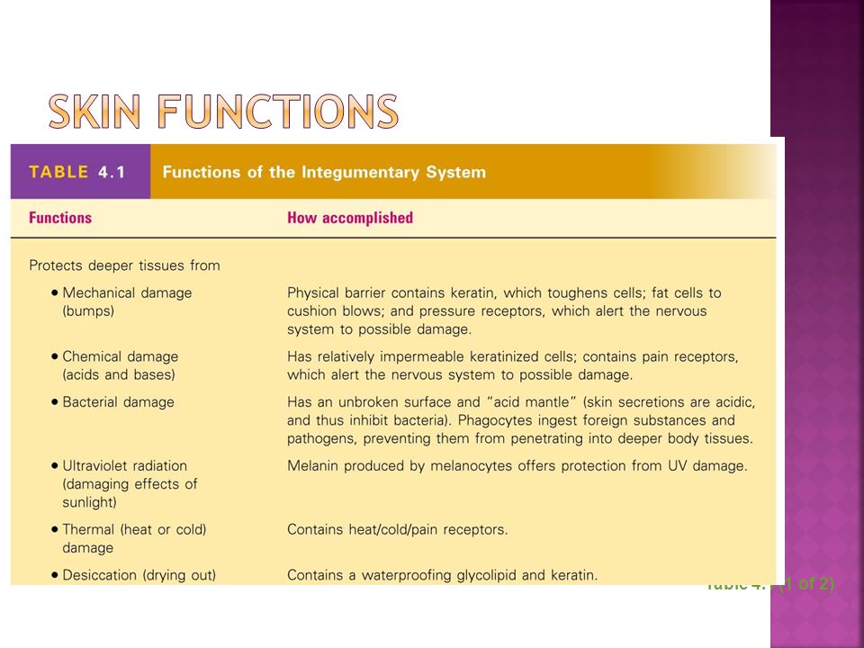 Skin Functions Table 4.1 (1 of 2)