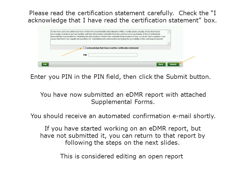 Enter you PIN in the PIN field, then click the Submit button.