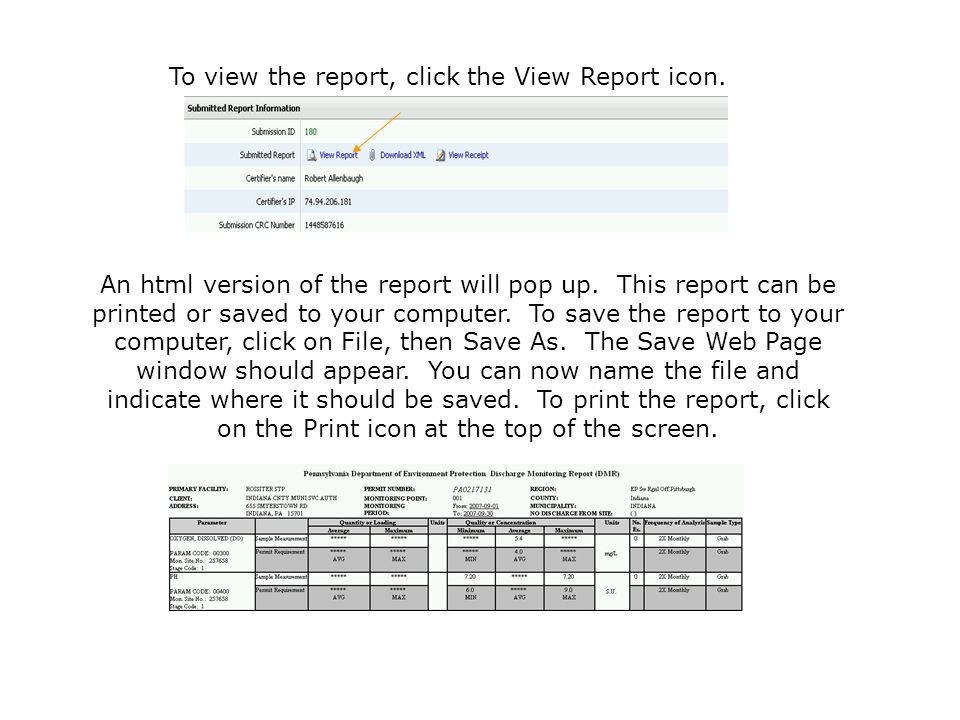 To view the report, click the View Report icon.
