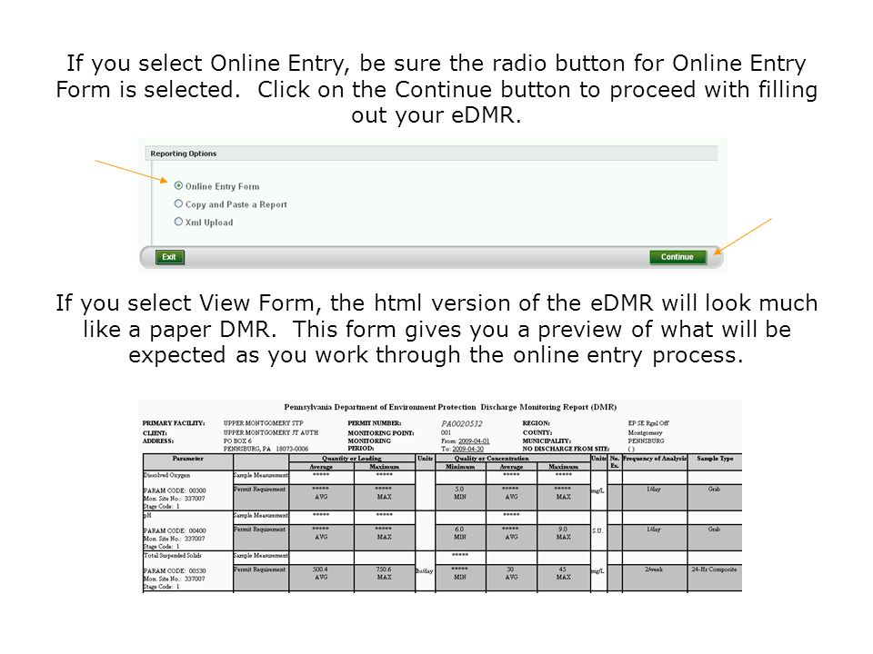 If you select Online Entry, be sure the radio button for Online Entry Form is selected. Click on the Continue button to proceed with filling out your eDMR.