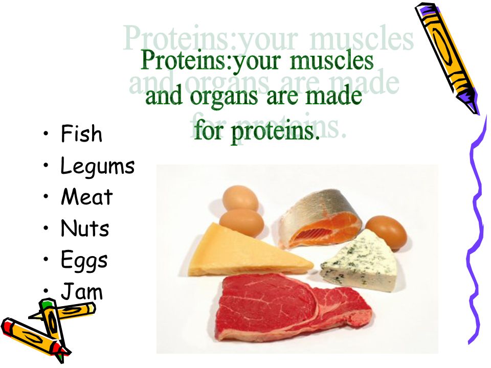 Proteins:your muscles