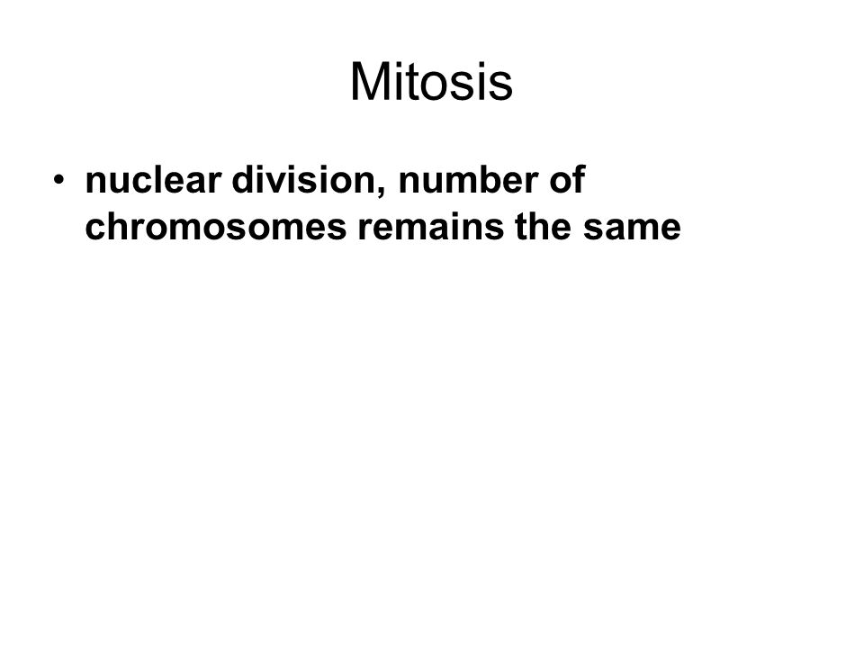Mitosis nuclear division, number of chromosomes remains the same