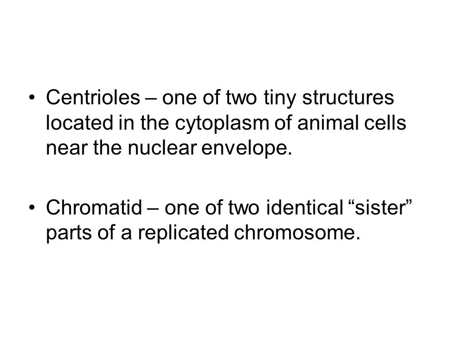 Centrioles – one of two tiny structures located in the cytoplasm of animal cells near the nuclear envelope.