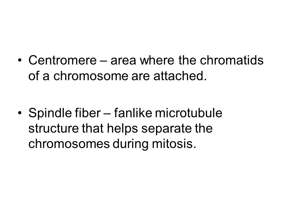 Centromere – area where the chromatids of a chromosome are attached.