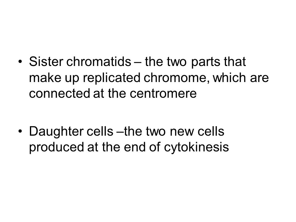 Sister chromatids – the two parts that make up replicated chromome, which are connected at the centromere