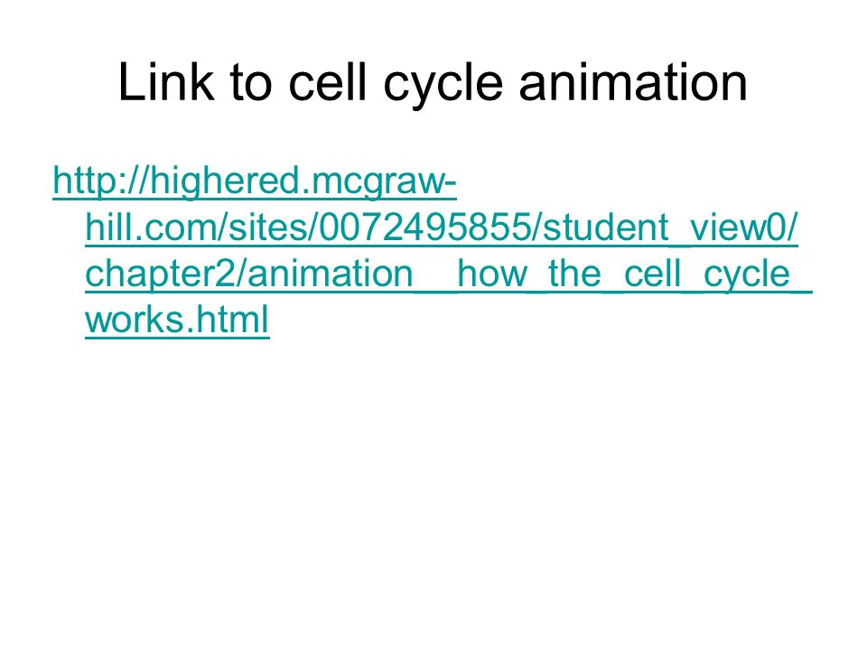 Link to cell cycle animation