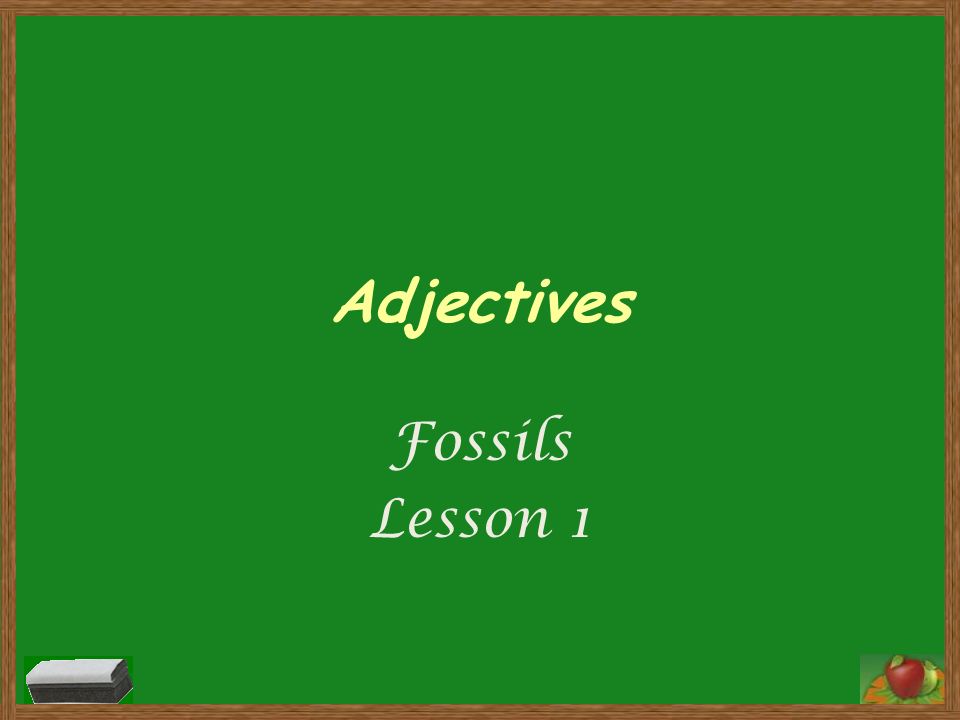 Adjectives Fossils Lesson 1