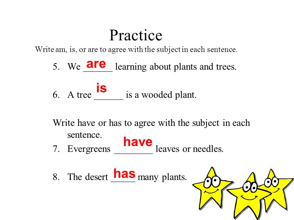 Practice Write am, is, or are to agree with the subject in each sentence.