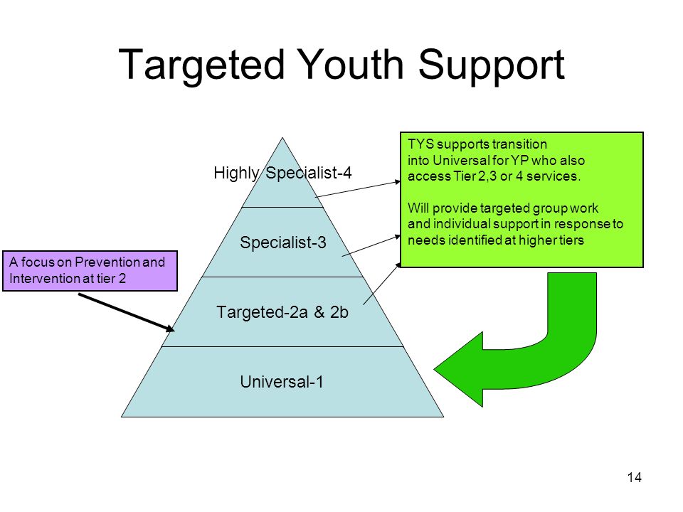 Targeted Youth Support