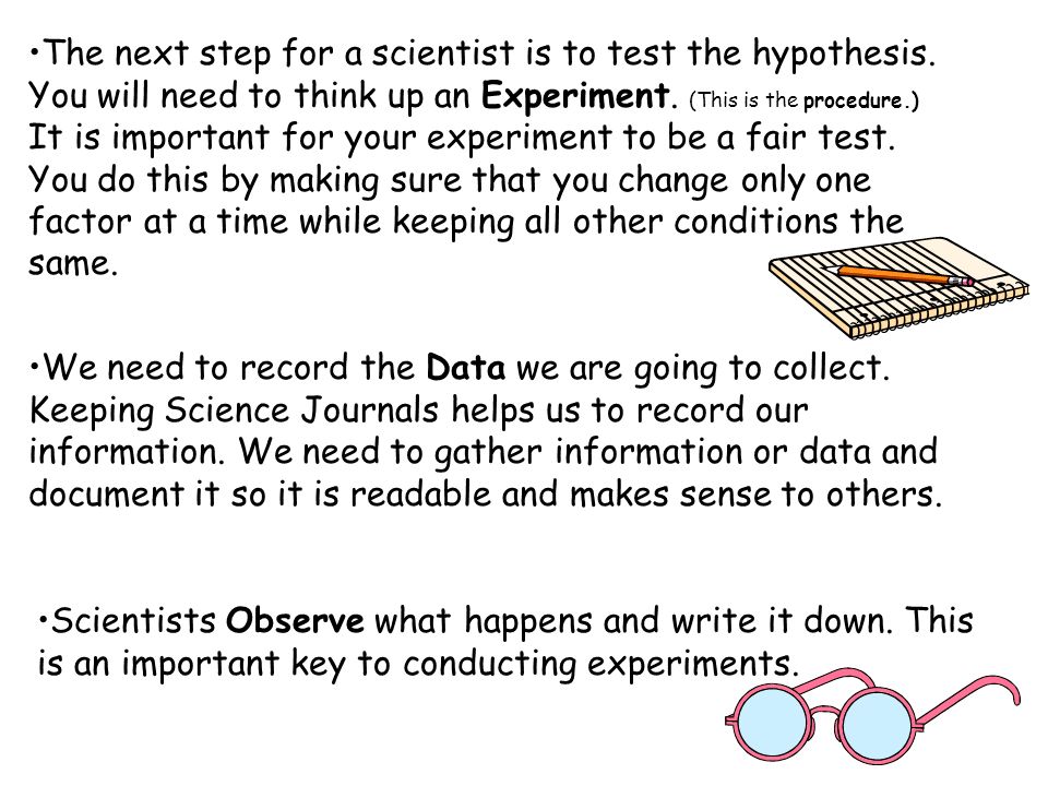 The next step for a scientist is to test the hypothesis
