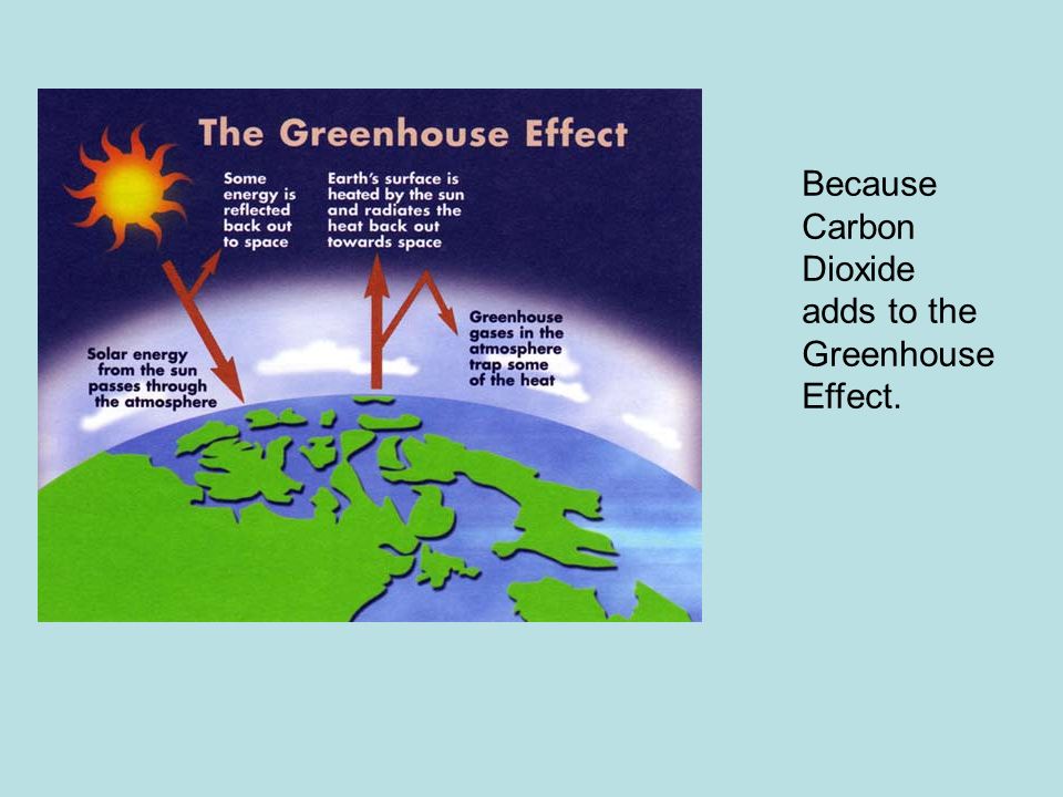 Because Carbon Dioxide adds to the Greenhouse Effect.